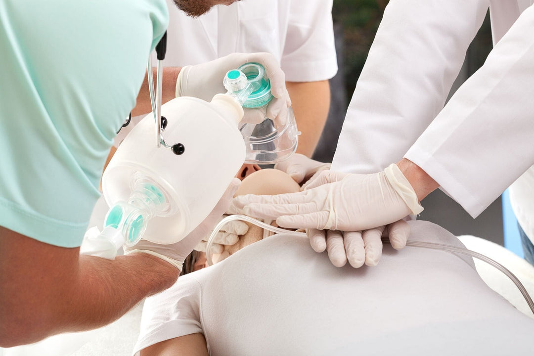 A Day in the Life of a Dental Training Session