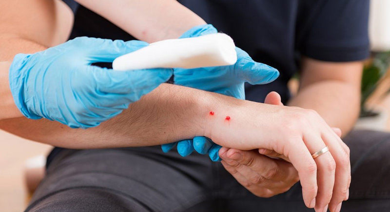 Why you should complete the two day First Aid Instructor Refresher Course