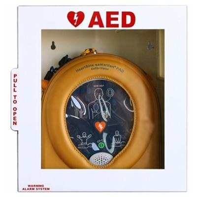 White_steel_cabinet_with_alarm